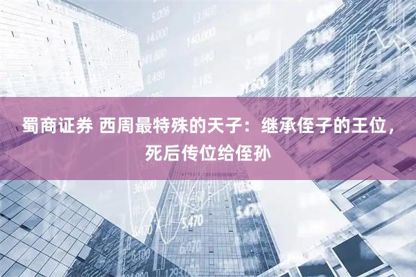 蜀商证券 西周最特殊的天子：继承侄子的王位，死后传位给侄孙